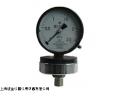 YPF-100A膜片壓力表 上海自動(dòng)化儀表四廠的精密測(cè)量解決方案